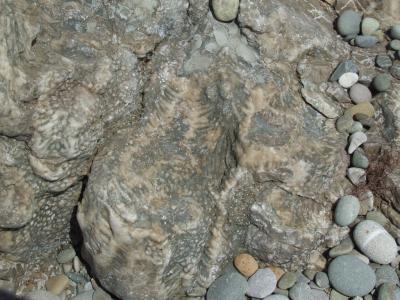 Прикрепленное изображение: 011-3.jpg